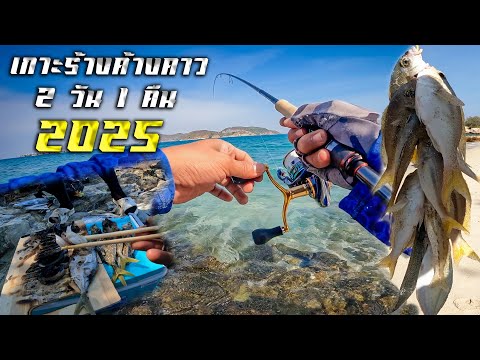 เกาะค้างคาว (เกาะท้ายค้างคาว)