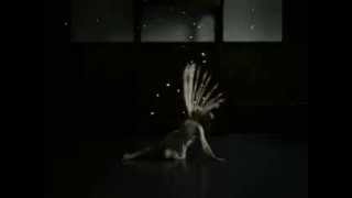 «Pioggia di luce»...