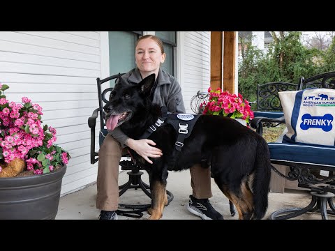 Military Working Dog (MWD) Reunification: Frenky and SSG Kristin