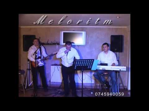 Formatia MELORITM TG.OCNA 0745940059 Coace Doamne prunele