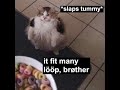 Bröther May I Have Some Lööps