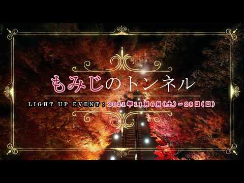 「もみじトンネル」ライトアップPR動画