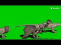 Monster Inc And SpongeBob And Lion King 1½ And Ice Age And Horton Hears A Who Stampede Green Screen