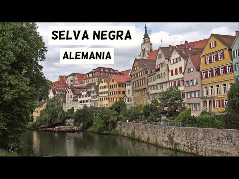 Germany's Black Forest in 5 minutes: A region of fairy tales and nature | Freiburg, Triberg...