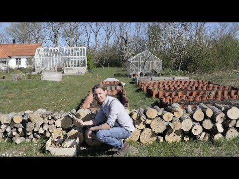 Hur ett nedsågat träd kan öka din skörd  - Trädgårdshacks med GardenR