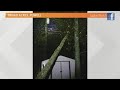 Storm Damage Reported Across East Tennessee