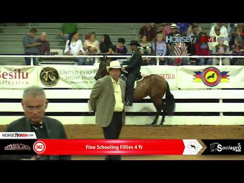 362 Fino Schooling Fillies 4 Yr Extravaganza Ocala 2018