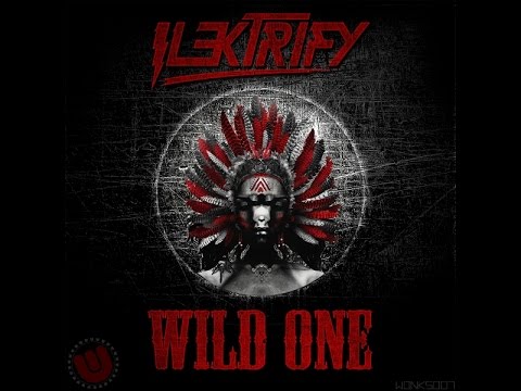 WONKS007: Ilektrify - Wild Ones