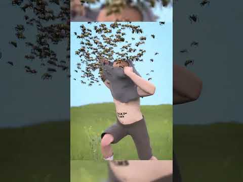 If you are attacked by a swarm of bees, do this! #funfacts #randomfunfacts