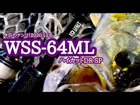 【今日のナンコ！2020.12.6】WSS-64ML ハイカット DR-SP【琵琶湖バス釣り】