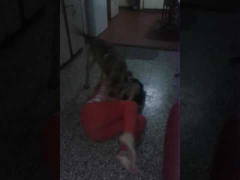 Pelea... !! Yeni VS Roquii!!