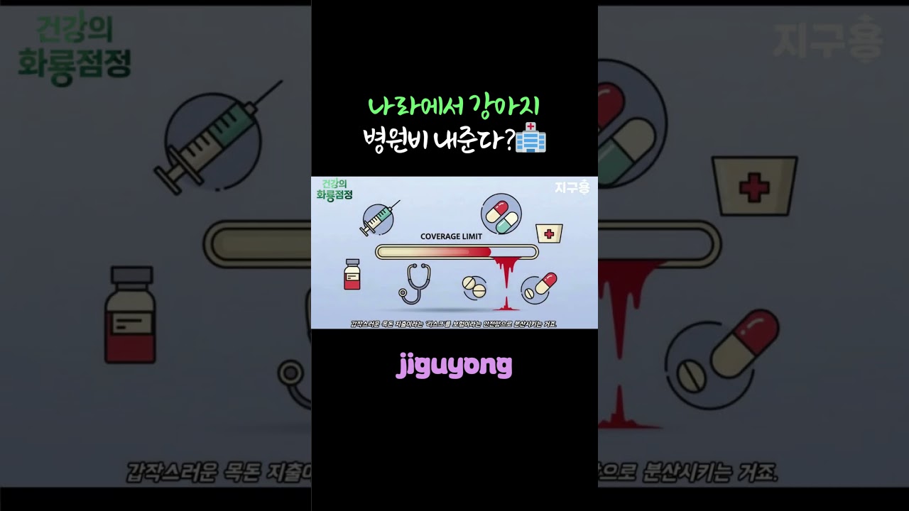 나라에서 강아지 병원비 내준다?🏥