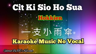 Download lagu Cit Ki Sio Ho Sua _Hokkien song 一支小雨傘 / 一支小雨伞 karaoke no vocal mp3