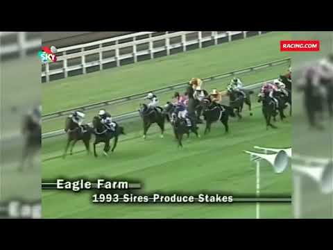 1993 Australian Racehorse MAHOGANY _ QLD Feature Two Year Old Wins