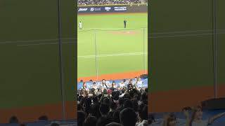 【Team Taiwan】OUT 台湾VSチェコ交流試合(台灣捷克國際交流賽)@台北ドーム20241102 #台湾チア #cheerdance #cheerleading  #teamtaiwan