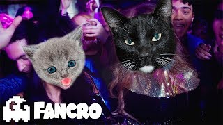 Thalía, Natti Natasha - No Me Acuerdo (Cover Gatos)