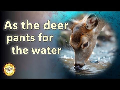 As the Deer Pants for the Water