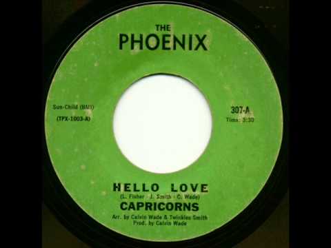 CAPRICORNS-  HELLO LOVE
