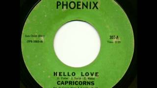 CAPRICORNS-  HELLO LOVE