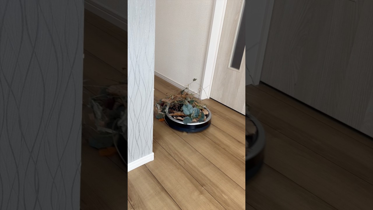 逆に家を汚すタイプのルンバ　#ルンバ #roomba