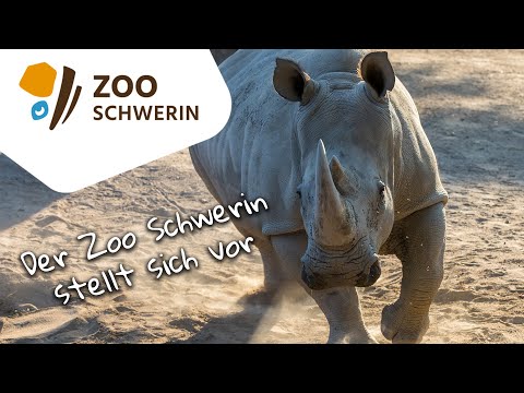 Der Zoo Schwerin - Imagefilm 2021/22