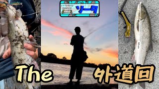 【ソータのシーバス釣行】シーバスの外道勢揃い！〜中川下流から上流〜