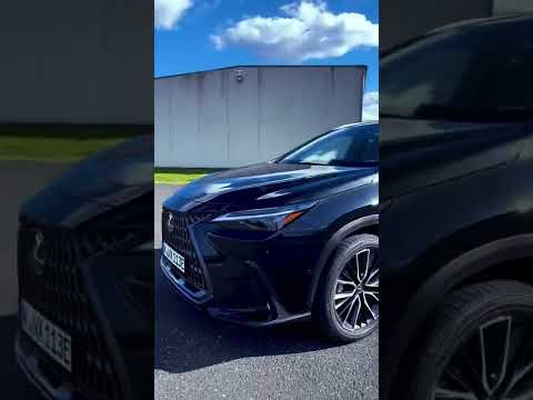 Ungewöhnlich? Ja, aber was für ein Innenraum! Der Lexus NX 450h+