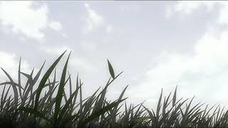 Download lagu Alan Jackson - Remember When (Slowed & Reverbed) mp3 Download lagu Alan Jackson - Remember When (Slowed & Reverbed) mp3
