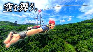 【沖縄旅行】じゃじゃまる、沖縄で鳥になる