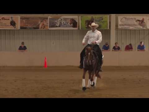 170707 John Jobin on Lil Ruf Gay Badger Open