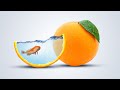 Photo Manipulation In Photoshop Orange And Fish