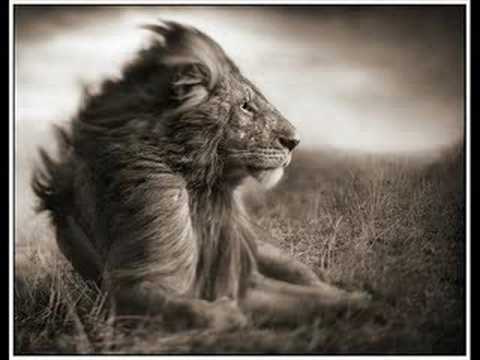 Ikahba - Wha Happen To Dem