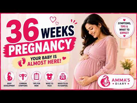 Week 36 Pregnancy | Baby Moves into Birth Position!