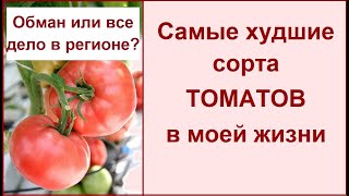 Саженцы Слива Чемальская крупная купить в питомнике Биолит