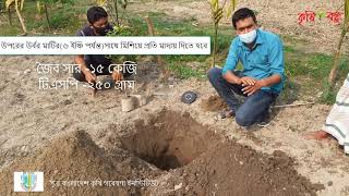 বারি মাল্টা ১