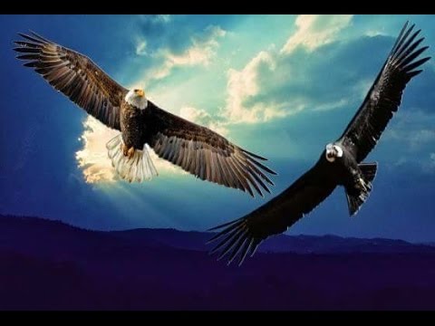 Riconciliazione e guarigione - Malachia Cap. 3