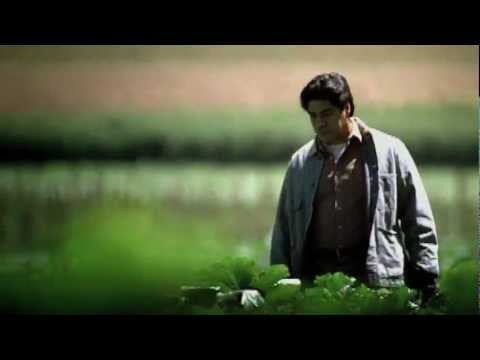 California Grown: Feed the Dream