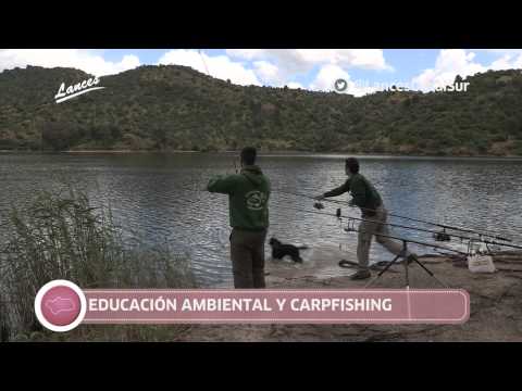 PROMO LANCES 312 22-06-13