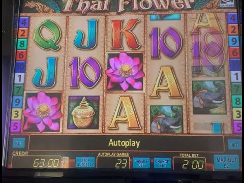 £100 vs Thai flower