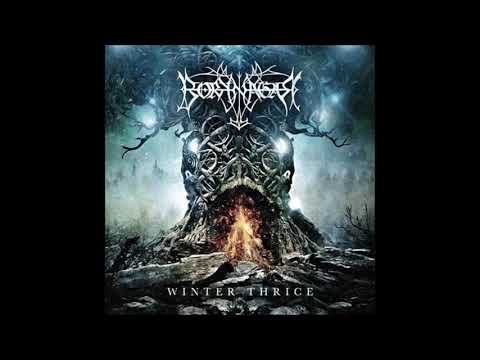 Borknagar - Winter Thrice (Full Album)