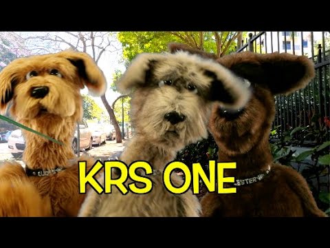KRS ONE - SOUND OF THE POLICE  - DOG VERSION