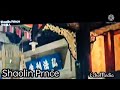 Shaolin Prince Fight Scene