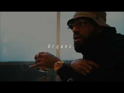 (FREE) Larry June x Dom Kennedy Type Beat 2023 - "Organic"