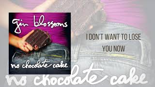 Gin Blossoms - I Don&#39;t Want to Lose You Now (Official Audio)