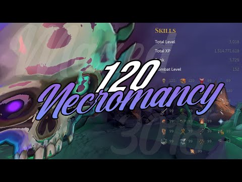 i came back after three years to master necromancy