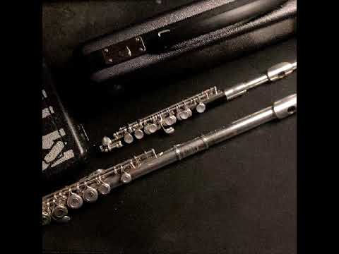 "Birds" Part I for Piccolo and 2 Flutes - Herman Beeftink