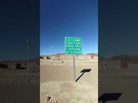 Caminando por pumahuasi, Jujuy, Argentina