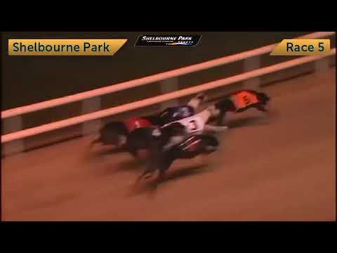 Newinn Session - The 2021 Ladbrokes Easter Cup 550 Round 1