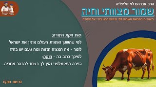 פרשת חוקת - ''שמור מצוותי וחיה'' - הרב אברהם לוי שליט''א (ביאורים על פ''ה לפי רבנו בחיי) (הרב שלמה לוינשטיין) - התמונה מוצגת ישירות מתוך אתר האינטרנט יוטיוב. זכויות היוצרים בתמונה שייכות ליוצרה. קישור קרדיט למקור התוכן נמצא בתוך דף הסרטון פרשת חוקת - ''שמור מצוותי וחיה'' - הרב אברהם לוי שליט''א (ביאורים על פ''ה לפי רבנו בחיי) (הרב שלמה לוינשטיין) - התמונה מוצגת ישירות מתוך אתר האינטרנט יוטיוב. זכויות היוצרים בתמונה שייכות ליוצרה. קישור קרדיט למקור התוכן נמצא בתוך דף הסרטון