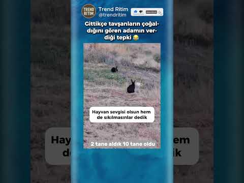 Aldığı Tavşanların Çoğaldığını Görünce Şaşıran Adam 😂😅
